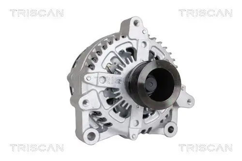 Generator 12 V TRISCAN 8310 11030 Bild Generator 12 V TRISCAN 8310 11030