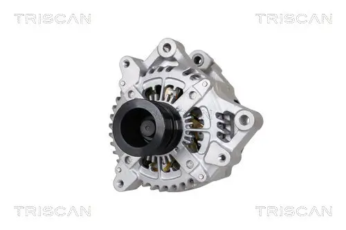 Generator 12 V TRISCAN 8310 11031