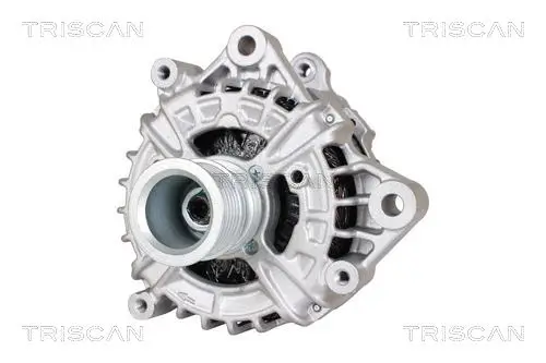 Generator 14 V TRISCAN 8310 11032