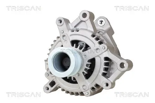 Generator 14 V TRISCAN 8310 11039