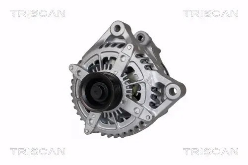 Generator 14 V TRISCAN 8310 11042