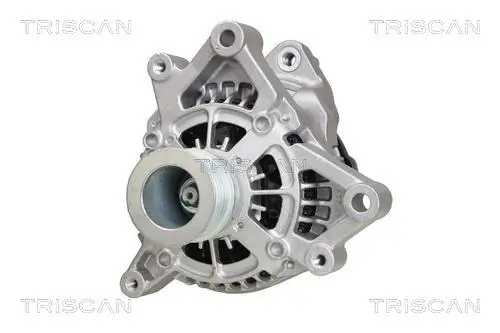 Generator 14 V TRISCAN 8310 11043