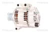 Generator 12 V TRISCAN 8310 11046 Bild Generator 12 V TRISCAN 8310 11046