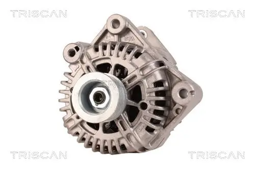 Generator 12 V TRISCAN 8310 11047 Bild Generator 12 V TRISCAN 8310 11047