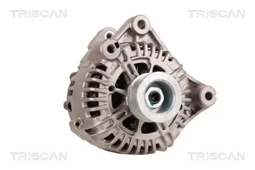 Generator 12 V TRISCAN 8310 11047 Bild Generator 12 V TRISCAN 8310 11047