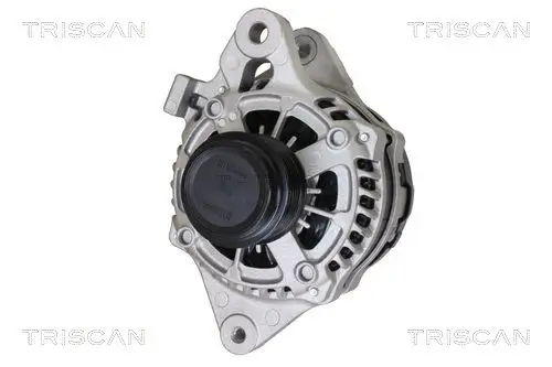 Generator 14 V TRISCAN 8310 13002