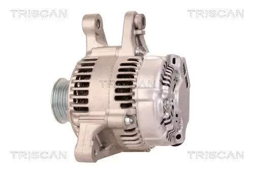 Generator 14 V TRISCAN 8310 13005 Bild Generator 14 V TRISCAN 8310 13005