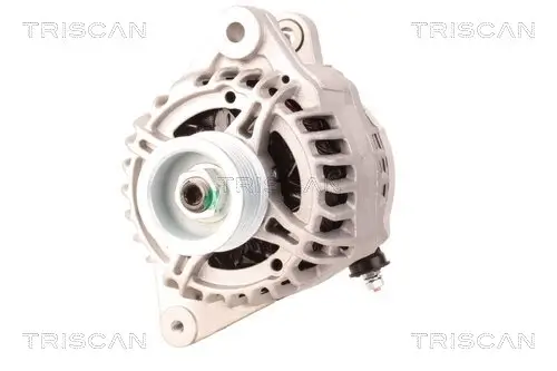 Generator 12 V TRISCAN 8310 13022 Bild Generator 12 V TRISCAN 8310 13022