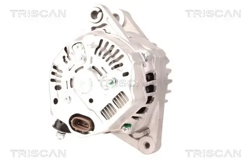 Generator 12 V TRISCAN 8310 13022 Bild Generator 12 V TRISCAN 8310 13022