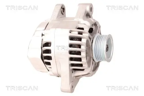 Generator 12 V TRISCAN 8310 13022 Bild Generator 12 V TRISCAN 8310 13022