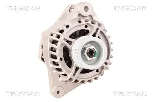 Generator 12 V TRISCAN 8310 13022 Bild Generator 12 V TRISCAN 8310 13022