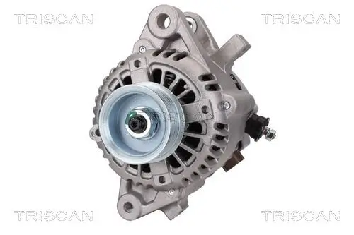 Generator 14 V TRISCAN 8310 13043