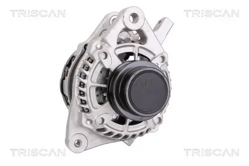 Generator 14 V TRISCAN 8310 13047 Bild Generator 14 V TRISCAN 8310 13047