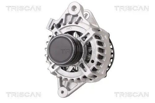 Generator 14 V TRISCAN 8310 13048