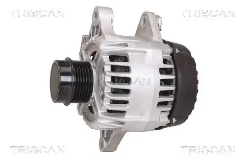 Generator 14 V TRISCAN 8310 13048 Bild Generator 14 V TRISCAN 8310 13048