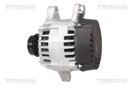 Generator 14 V TRISCAN 8310 13048 Bild Generator 14 V TRISCAN 8310 13048