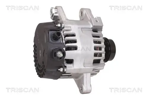 Generator 14 V TRISCAN 8310 13048 Bild Generator 14 V TRISCAN 8310 13048