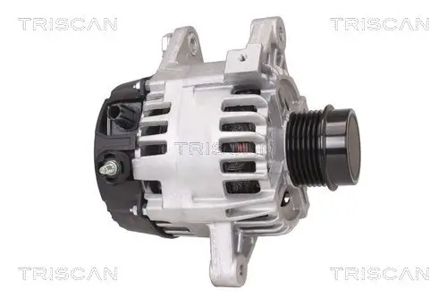 Generator 14 V TRISCAN 8310 13048 Bild Generator 14 V TRISCAN 8310 13048