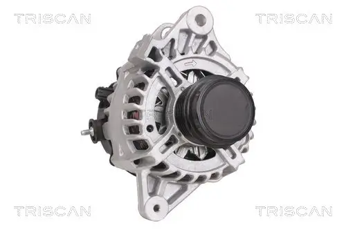 Generator 14 V TRISCAN 8310 13048 Bild Generator 14 V TRISCAN 8310 13048