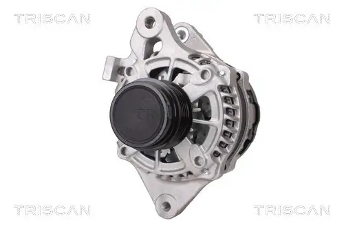 Generator 14 V TRISCAN 8310 13049 Bild Generator 14 V TRISCAN 8310 13049