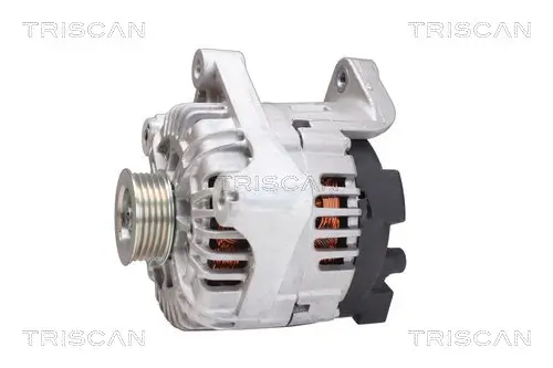 Generator 12 V TRISCAN 8310 13051 Bild Generator 12 V TRISCAN 8310 13051