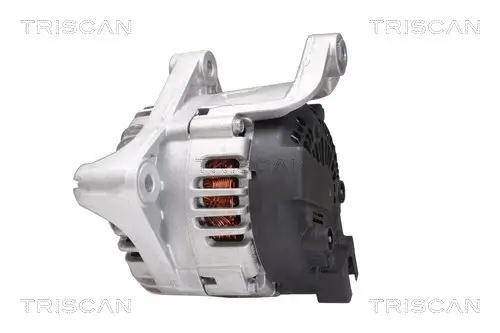 Generator 12 V TRISCAN 8310 13051 Bild Generator 12 V TRISCAN 8310 13051