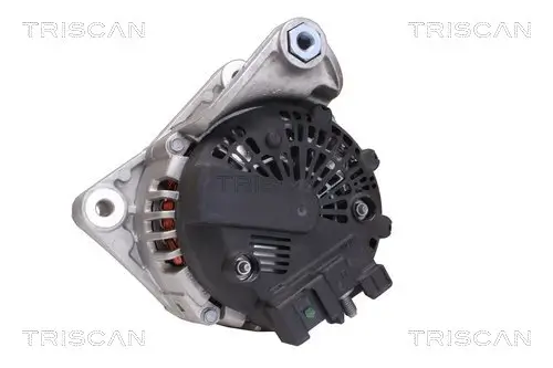 Generator 12 V TRISCAN 8310 13051 Bild Generator 12 V TRISCAN 8310 13051