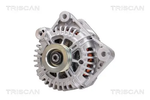 Generator 12 V TRISCAN 8310 13051 Bild Generator 12 V TRISCAN 8310 13051