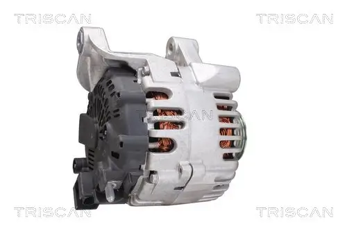 Generator 12 V TRISCAN 8310 13051 Bild Generator 12 V TRISCAN 8310 13051