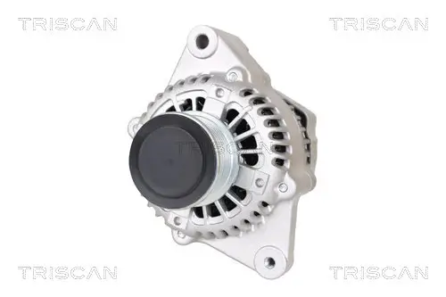 Generator 14 V TRISCAN 8310 13052