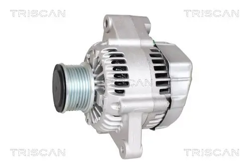 Generator 14 V TRISCAN 8310 13052 Bild Generator 14 V TRISCAN 8310 13052