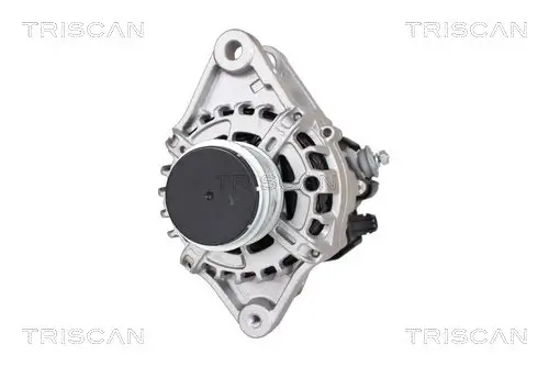 Generator 14 V TRISCAN 8310 13053 Bild Generator 14 V TRISCAN 8310 13053