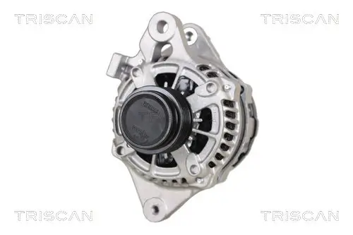 Generator 14 V TRISCAN 8310 13054