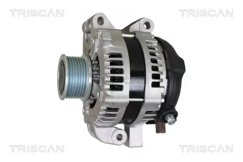 Generator 12 V TRISCAN 8310 13055 Bild Generator 12 V TRISCAN 8310 13055