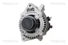 Generator 14 V TRISCAN 8310 13056
