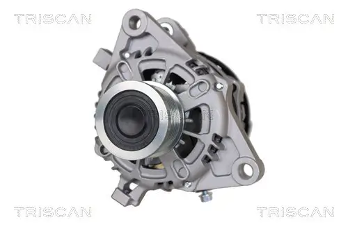 Generator 14 V TRISCAN 8310 13058