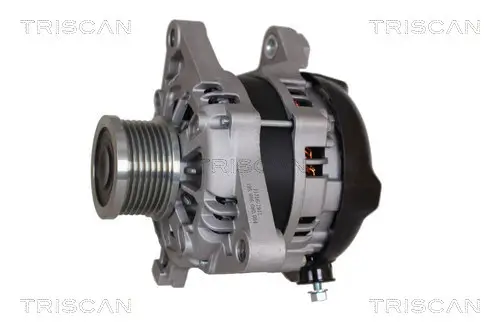 Generator 14 V TRISCAN 8310 13058 Bild Generator 14 V TRISCAN 8310 13058