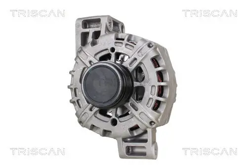 Generator 14 V TRISCAN 8310 13059