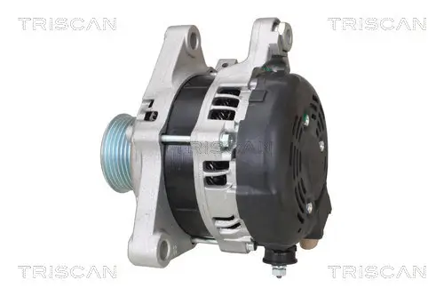 Generator 14 V TRISCAN 8310 13060 Bild Generator 14 V TRISCAN 8310 13060