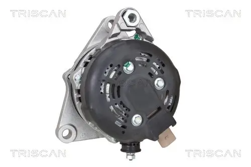 Generator 14 V TRISCAN 8310 13060 Bild Generator 14 V TRISCAN 8310 13060