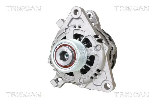 Generator 14 V TRISCAN 8310 13060 Bild Generator 14 V TRISCAN 8310 13060