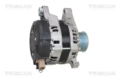 Generator 14 V TRISCAN 8310 13060 Bild Generator 14 V TRISCAN 8310 13060