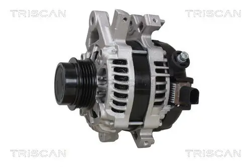Generator 12 V TRISCAN 8310 13061 Bild Generator 12 V TRISCAN 8310 13061