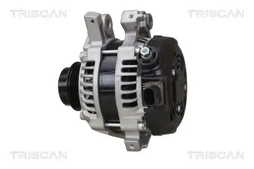 Generator 12 V TRISCAN 8310 13061 Bild Generator 12 V TRISCAN 8310 13061