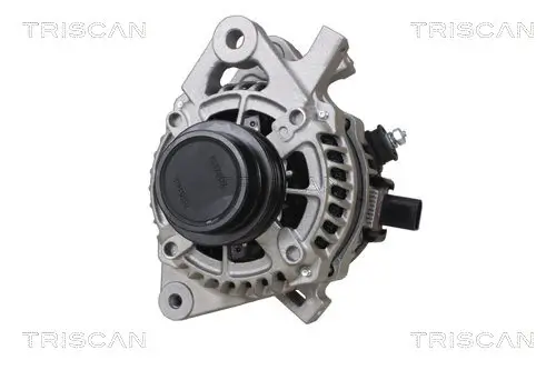 Generator 12 V TRISCAN 8310 13061 Bild Generator 12 V TRISCAN 8310 13061