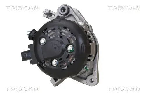 Generator 12 V TRISCAN 8310 13061 Bild Generator 12 V TRISCAN 8310 13061