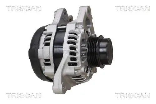 Generator 12 V TRISCAN 8310 13061 Bild Generator 12 V TRISCAN 8310 13061