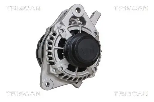 Generator 12 V TRISCAN 8310 13061 Bild Generator 12 V TRISCAN 8310 13061