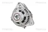Generator 14 V TRISCAN 8310 13062