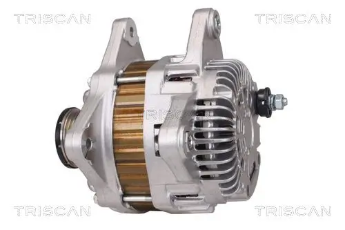 Generator 14 V TRISCAN 8310 14003 Bild Generator 14 V TRISCAN 8310 14003